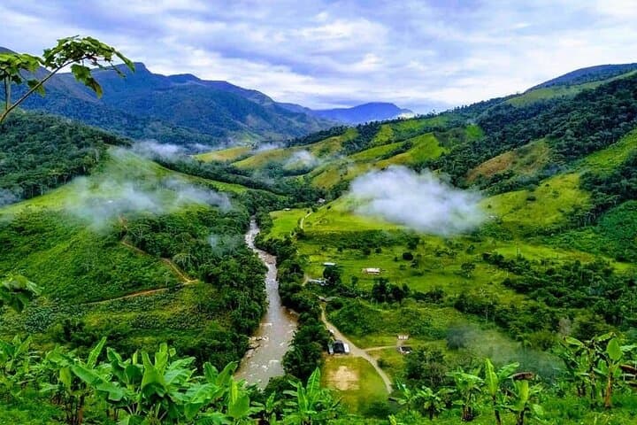 Selva amazónica del piedemonte caqueteño, donde los Andes ceden a la llanura.