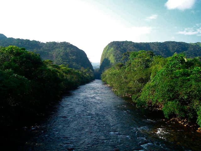 Territorio del Caquetá: selva y montañas de la Amazonía colombiana